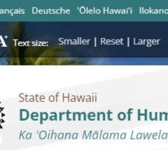 State of Hawaii Department of Human Services