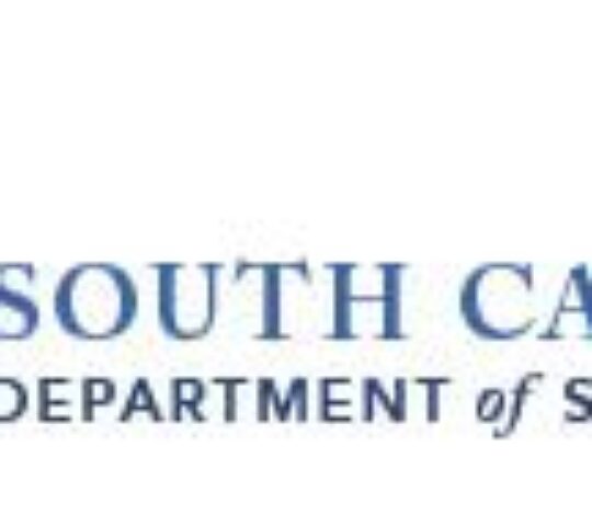 South Carolina Department of Social Services